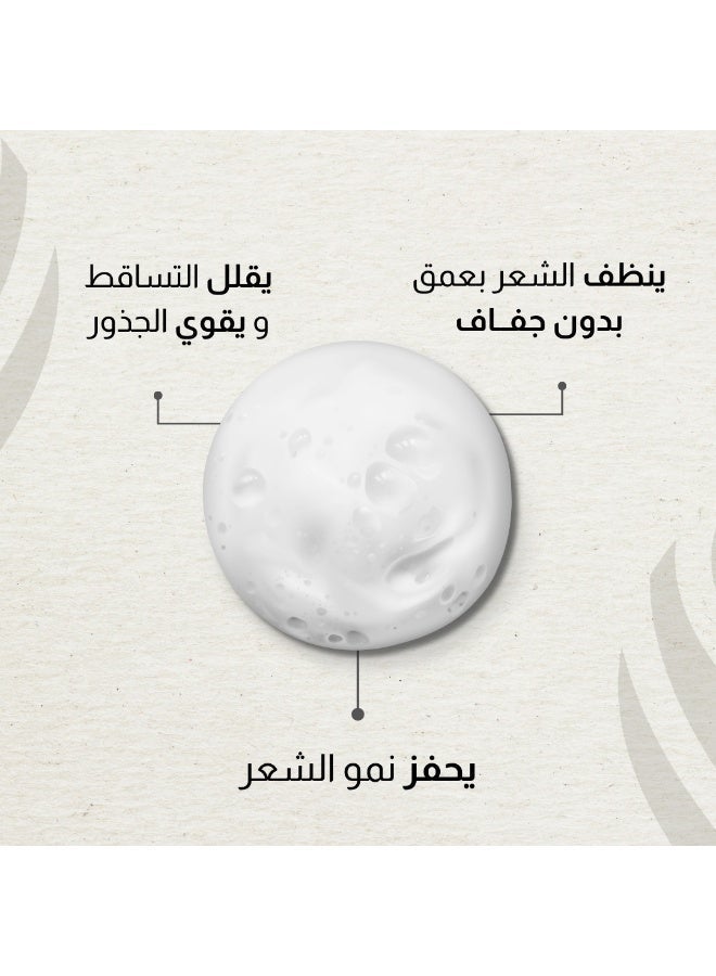 NAWAH Hair Strength & Repair Shampoo Enriched by Date Kernel Oil 100ml - Image 2